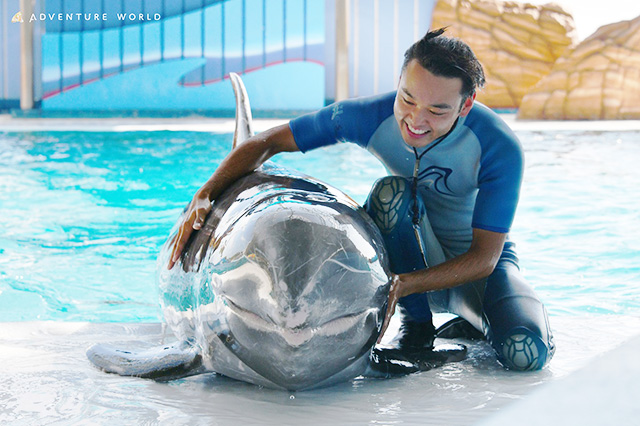 イルカとトレーナーさん/アドベンチャーワールド(和歌山県/白浜町)