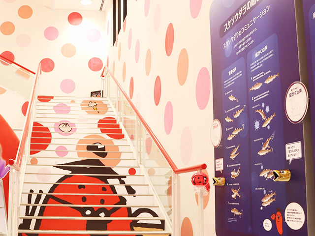 エントランスの階段/めんたいパークびわ湖（滋賀県/野洲市）