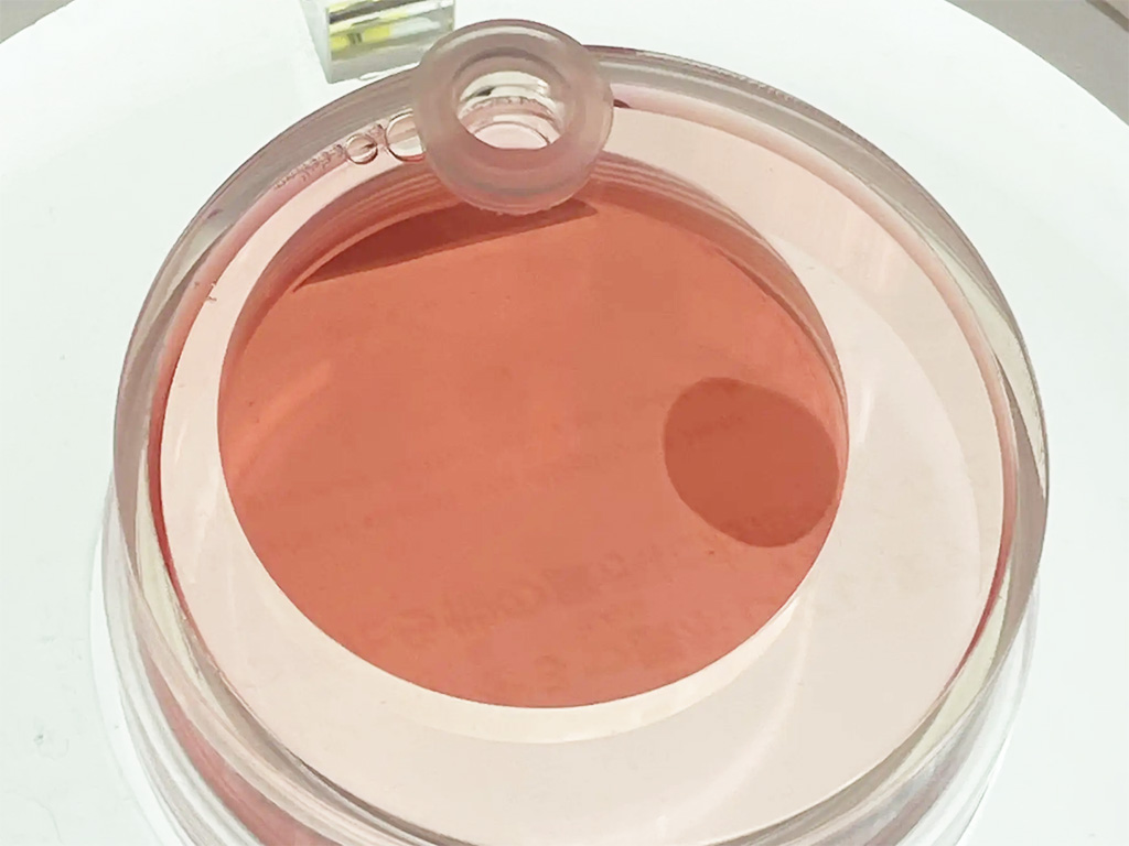 iPS細胞による心筋シート/みゃくみゃくとつなぐ展 ～万博とひらく未来～（東京都/江東区）