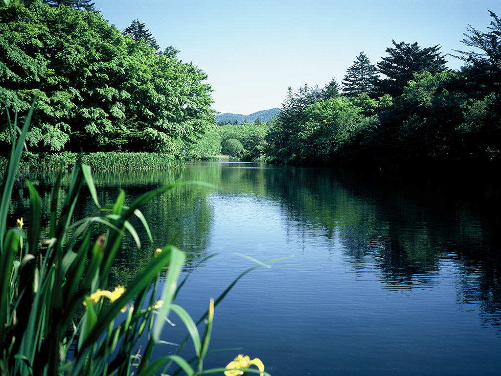 雲場池（長野県/軽井沢町）