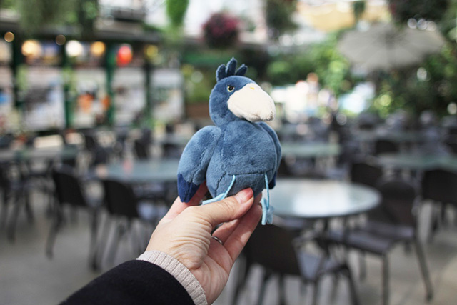 「むちむちハシビロコウ　マスコットボールチェーン」/神戸どうぶつ王国（兵庫県/神戸市）