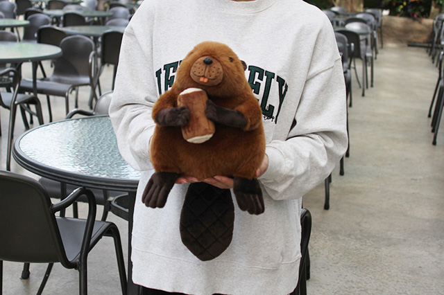 「アメリカビーバーと丸太」/神戸どうぶつ王国（兵庫県/神戸市）