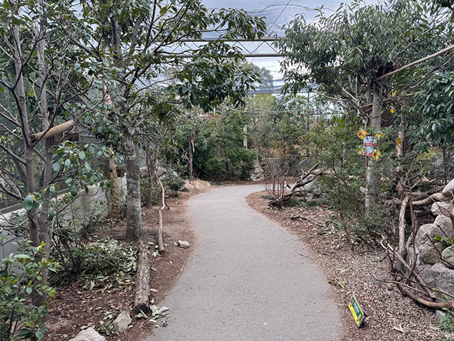「リスの森 ～Squirrel Forest～」/神戸どうぶつ王国（兵庫県/神戸市）