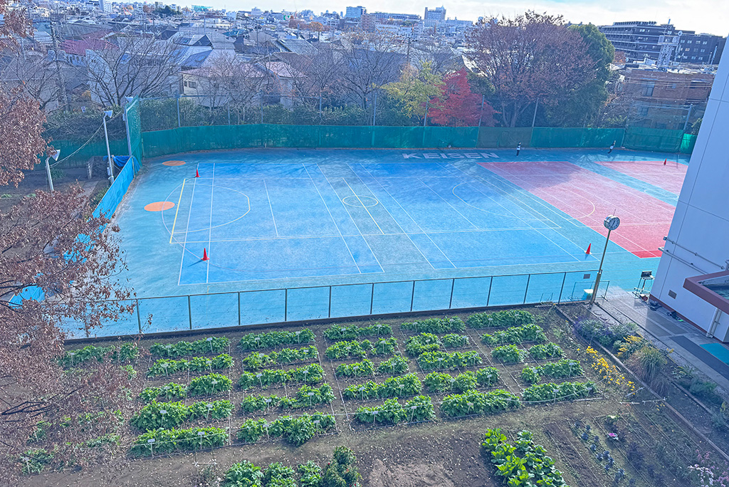 グラウンドとともに手入れされた畑/恵泉女学園中学校（東京都/世田谷区）