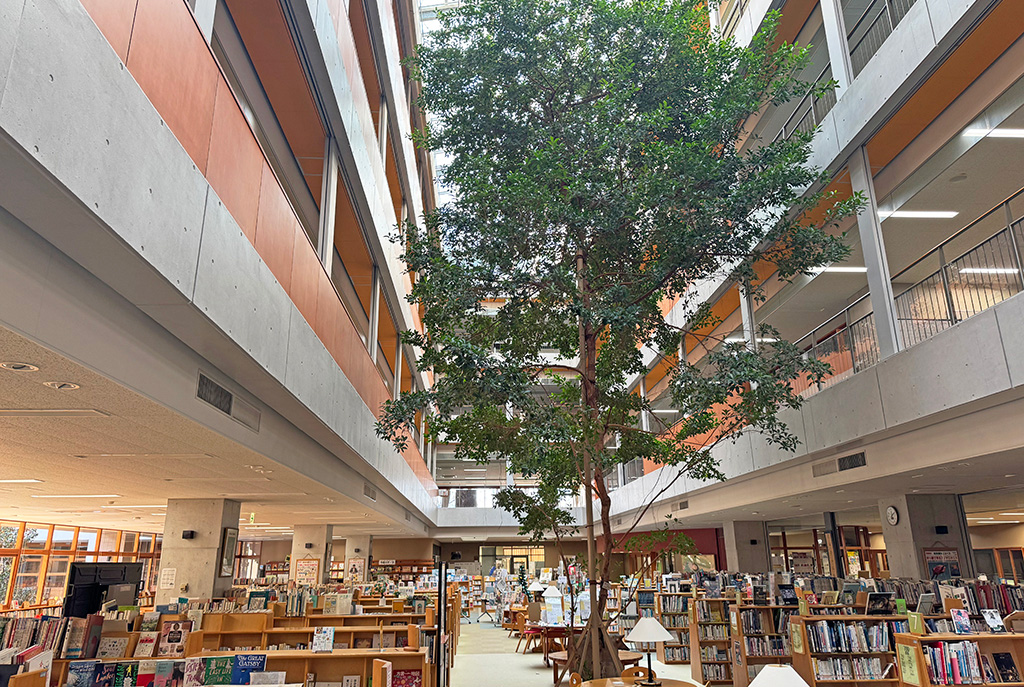 メディアセンター/恵泉女学園中学校（東京都/世田谷区）