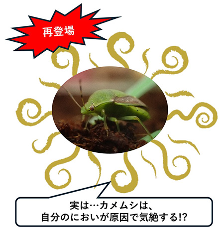 「ざんねんないきもの展３」/サンシャイン水族館（東京都/豊島区）