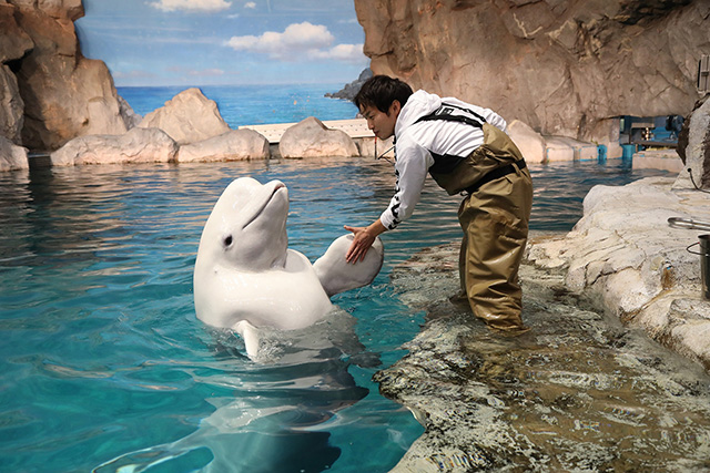 /名古屋港水族館（愛知県／名古屋市）