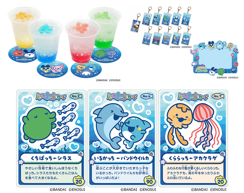 えのすいで発見!!たまごっちと海のなかまたち!(神奈川県/藤沢市)