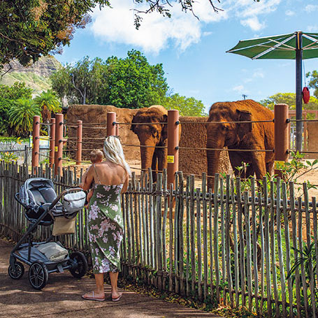 ホノルル動物園