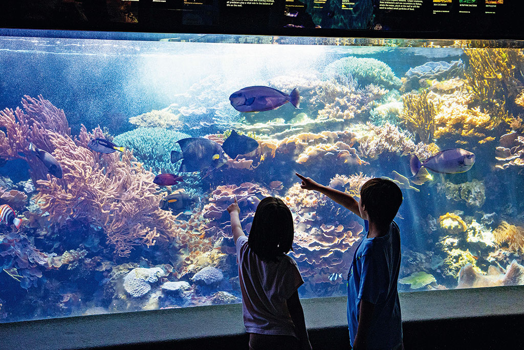 ワイキキ水族館
