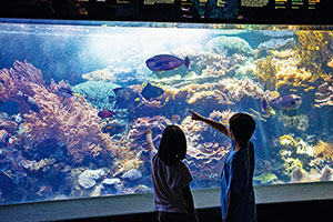 【赤ちゃん～3歳に人気のアクティビティ】動物園や水族館、緑豊かな公園も！
