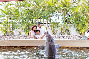 【小学生に人気のアクティビティ】海の生き物とふれあい体験や大自然を冒険！パラセイリングなどのチャレンジ体験も