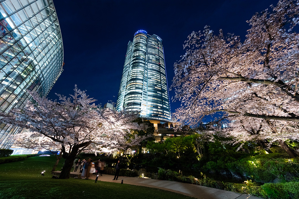 毛利庭園と六本木さくら坂/六本木ヒルズ 春まつり 2026（東京都/港区）