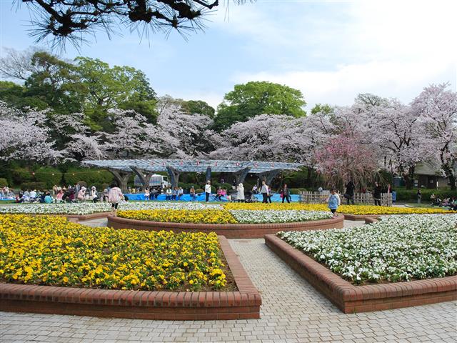 里見公園（千葉県／市川市）