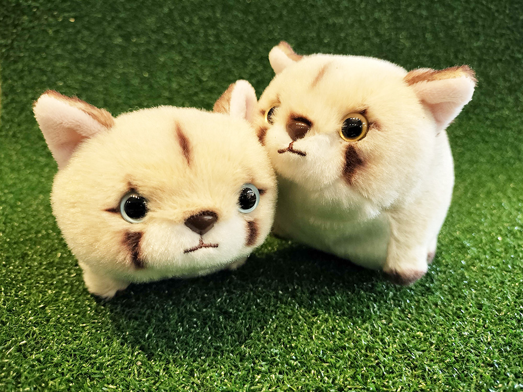 ぽちゃまる　ピューマ（ニーナ・タフ）/銀座ロフト「旅する動物園2026」（東京都/中央区）