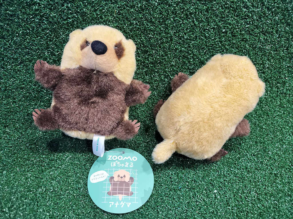 ぽちゃまる　アナグマ（よじ登り）/銀座ロフト「旅する動物園2026」（東京都/中央区）