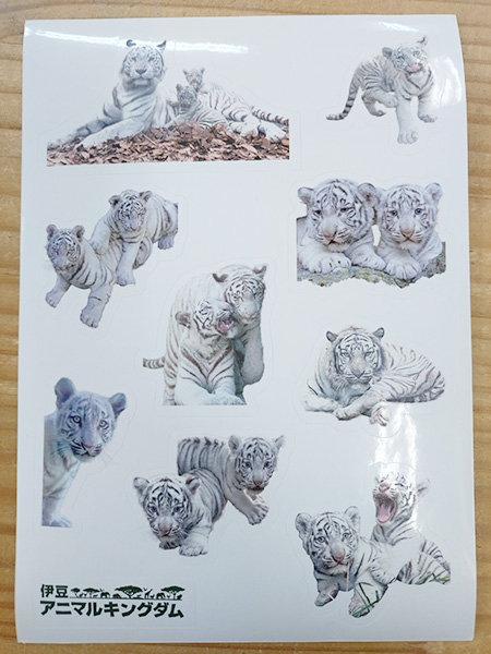 オリジナルシール　ホワイトタイガー/銀座ロフト「旅する動物園2026」（東京都/中央区）