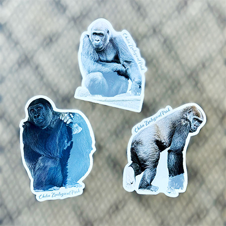 千葉市動物公園オリジナルステッカーニシゴリラ　モモカ/銀座ロフト「旅する動物園2026」（東京都/中央区）