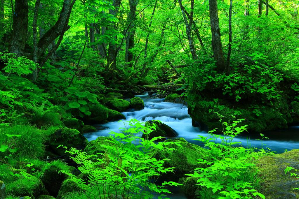 憧れのリゾートしらかみ乗車！　みちのく10景物語3日間