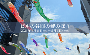 ビルの谷間の鯉のぼり（大阪府／大阪市）