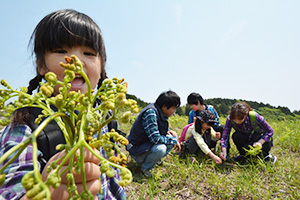 細野高原春の散策2026（静岡県／東伊豆町）