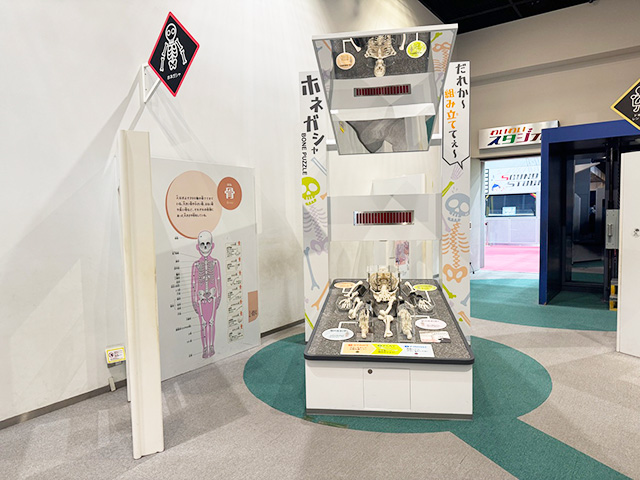 人気の「ホネガシャ」/キッズプラザ大阪（大阪府/大阪市）