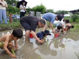 関東で子どもと田植え体験・米作り体験ができるスポット！イベントなど催しも充実