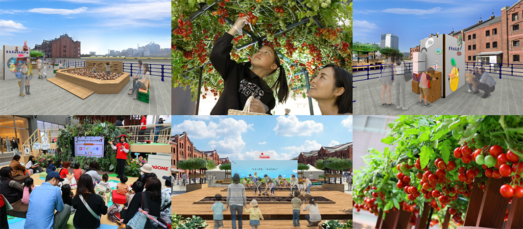 不思議の畑とトマトの樹(神奈川県/横浜市)