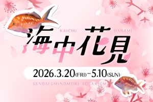 仙台うみの杜水族館で「海中花見」開催！桜が満開に咲き乱れるように泳ぐサクラダイなど花見にちなんだ水槽が登場