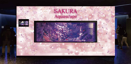 海中花見「SAKURA Aquascape」/仙台うみの杜水族館(宮城県/仙台市)
