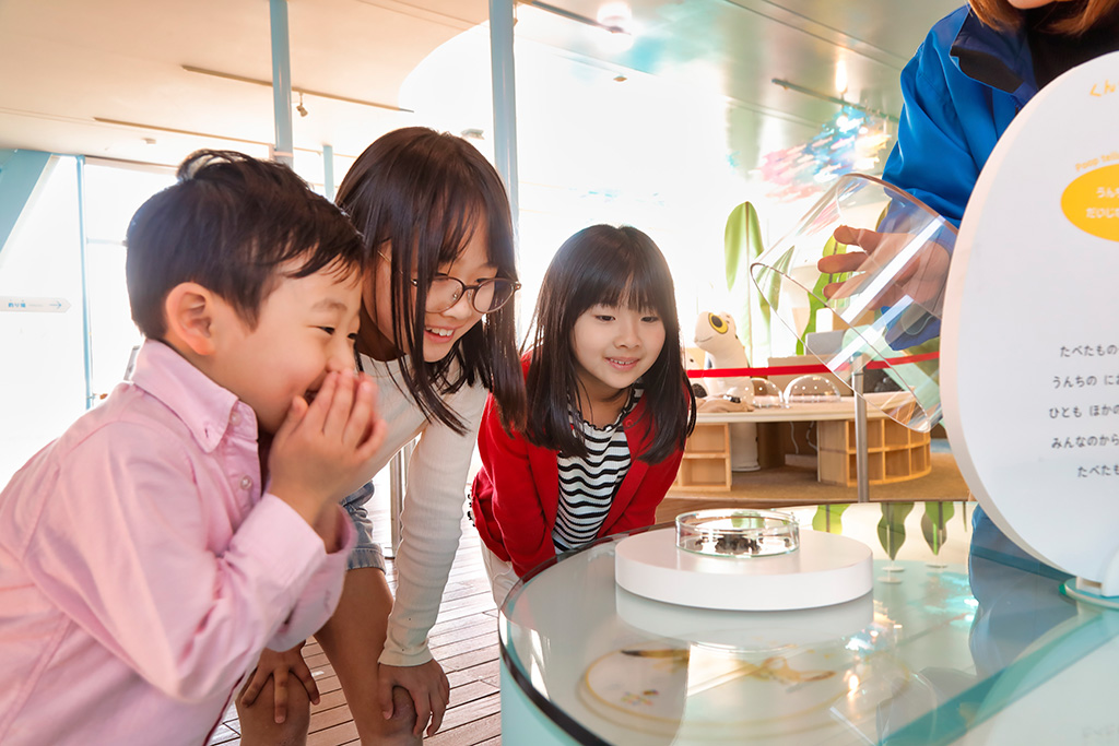 くんくんうんち（嗅覚ゾーン）/アクアマリンえっぐ　リニューアルオープン（福島県/いわき市）