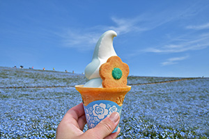 Flowering2026（茨城県／ひたちなか市）