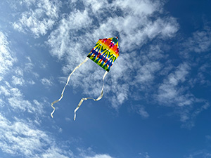 RESOL no MORI GW 2026（千葉県／長柄町）