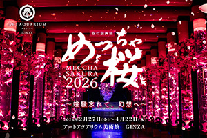 めっちゃ桜2026（東京都／中央区）
