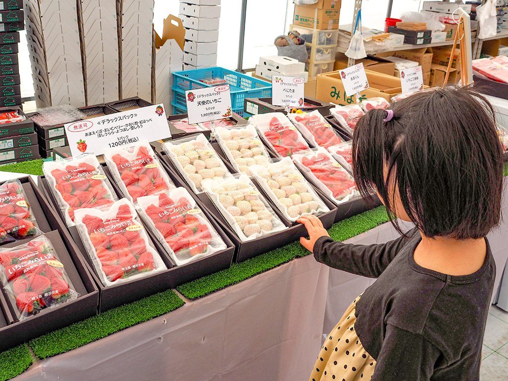 いちごの直売所/越谷いちごみらい園（埼玉県/越谷市）