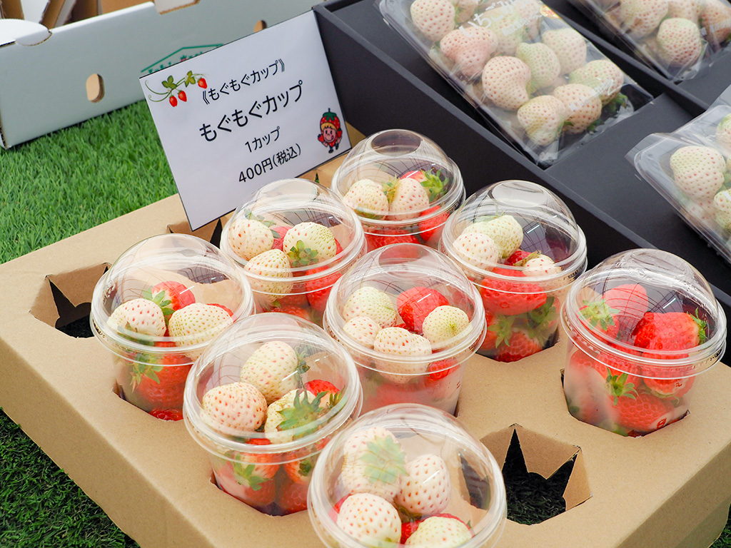 もぐもぐカップ（400円）/越谷いちごみらい園（埼玉県/越谷市）