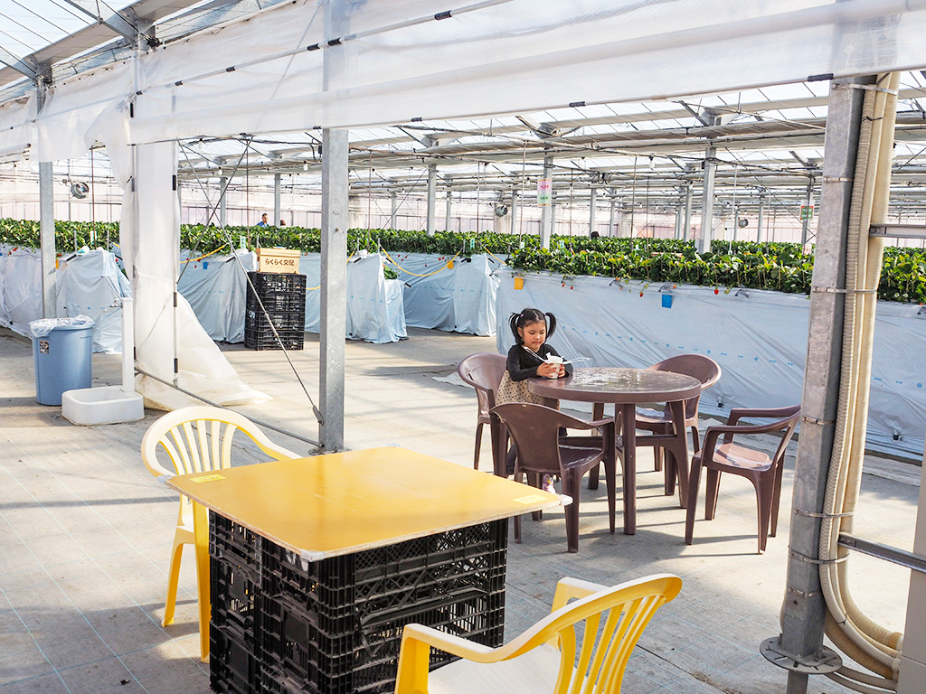 休憩できるイスとテーブル/越谷いちごみらい園（埼玉県/越谷市）