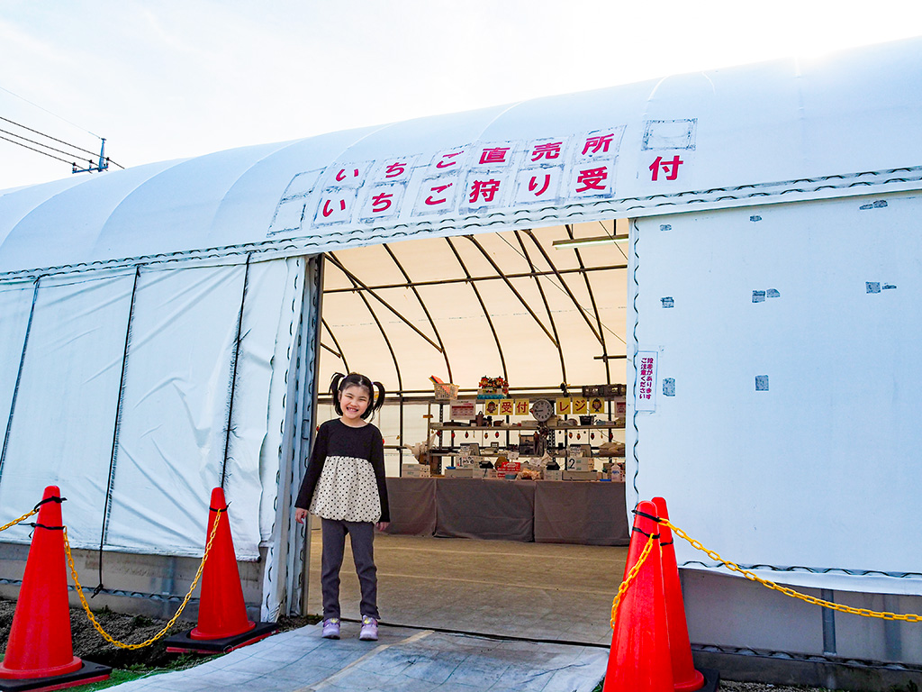 いちご狩り受付のハウス/越谷いちごみらい園（埼玉県/越谷市）