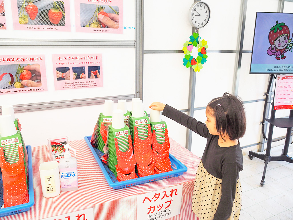 ヘタ入れカップ/越谷いちごみらい園（埼玉県/越谷市）
