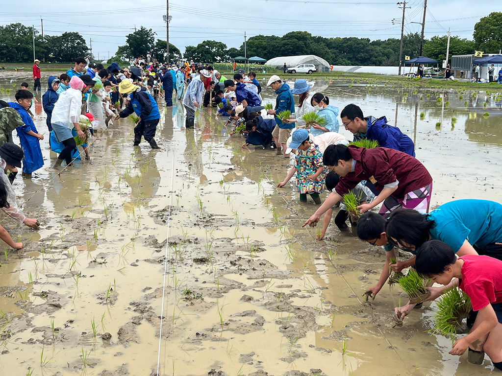 親子農業体験教室/兵庫楽農生活センター（兵庫県／神戸市）