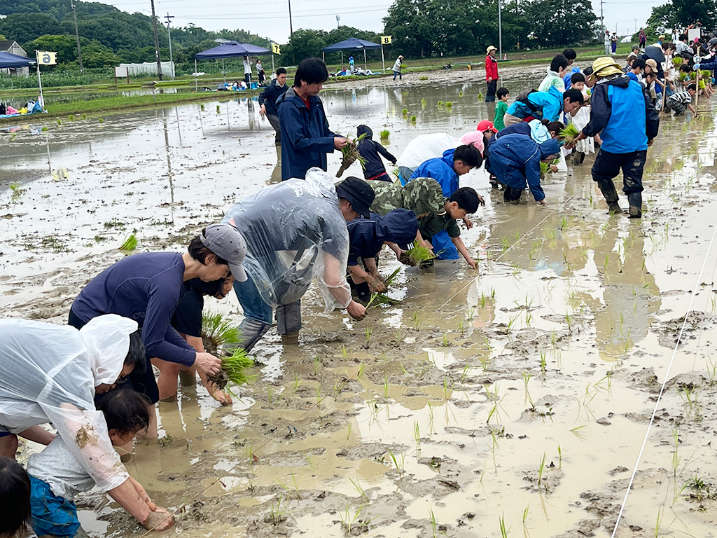 親子農業体験教室/兵庫楽農生活センター（兵庫県／神戸市）