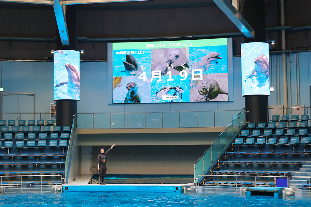飼育の日ウィーク/マクセル アクアパーク品川（東京都/港区）