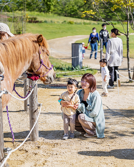 ポニーのエサやり＆お手入れ体験/ナチュの森（北海道）