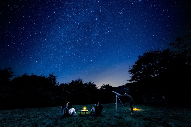 あつまれ どうぶつの森 × 東急リゾートタウン蓼科　自然をめぐろう たてしなの森（長野県/茅野市）