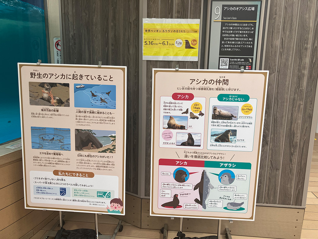 世界ペンギン・カワウソの日2026 in サンシャイン水族館（東京都/豊島区）
