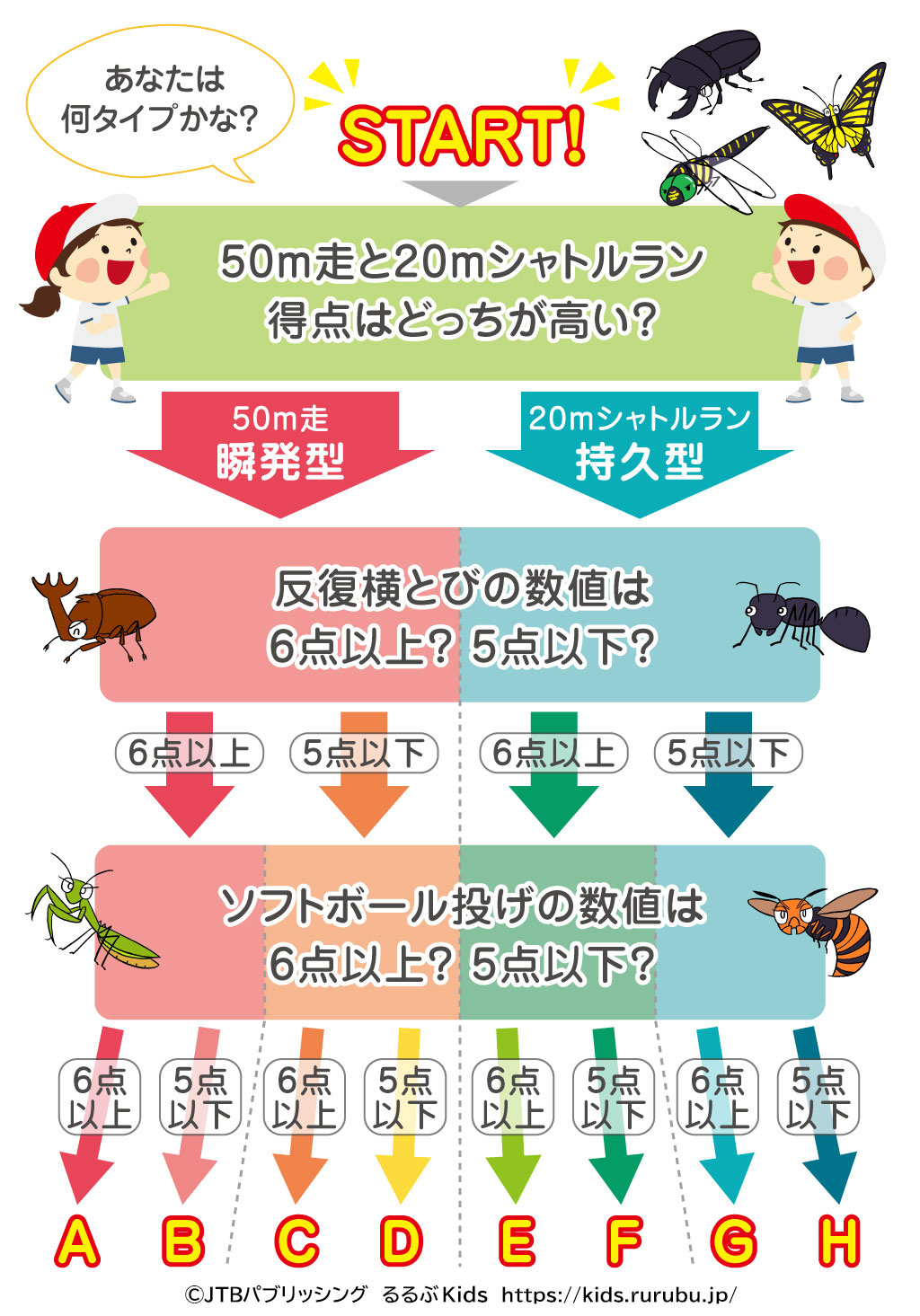 新体力テストタイプ別フローチャート