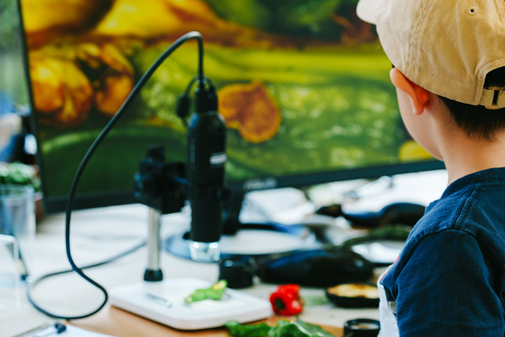 「味覚をたどるアトリエ」/FAMILY GREEN アトリエ GW特別編－緑が誘う、100のあそびと表現－（東京都）