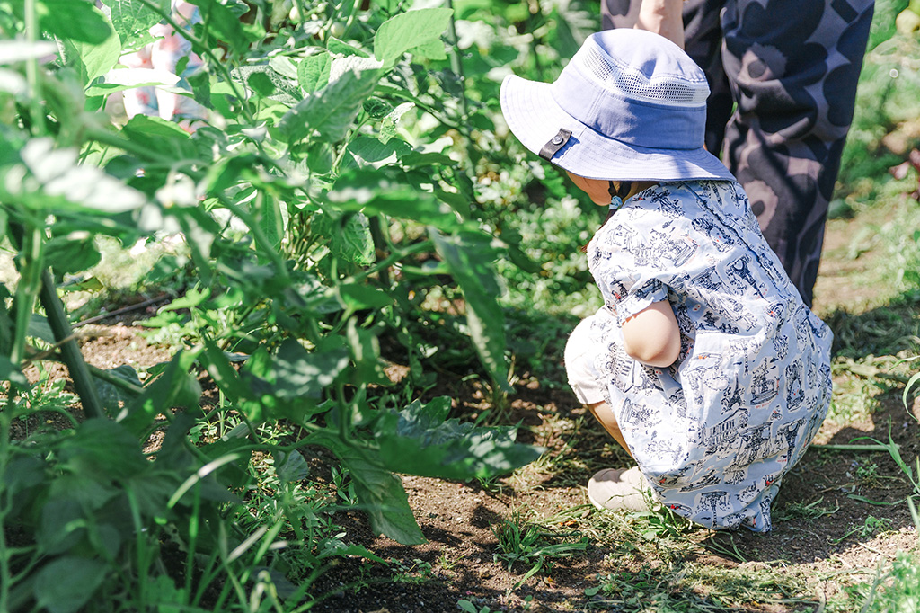 「緑の散策」/FAMILY GREEN アトリエ GW特別編－緑が誘う、100のあそびと表現－（東京都）