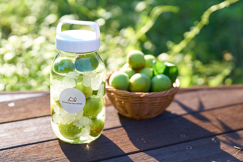 梅酒orシロップづくり/RESOL no MORI GW 2026（千葉県/長柄町）