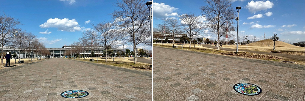 神栖中央公園にあるポケふた「マラカッチ・オトシドリ」（茨城県／神栖市）